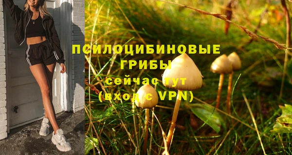 спайс Алзамай