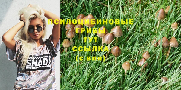 прущий лед Алексеевка