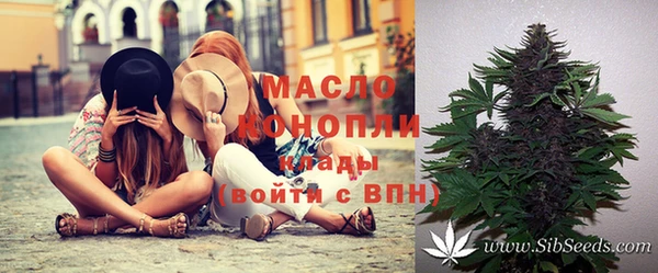 дмт Алексин