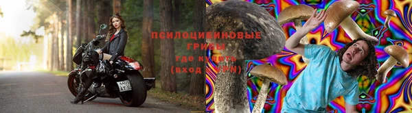дмт Алексин