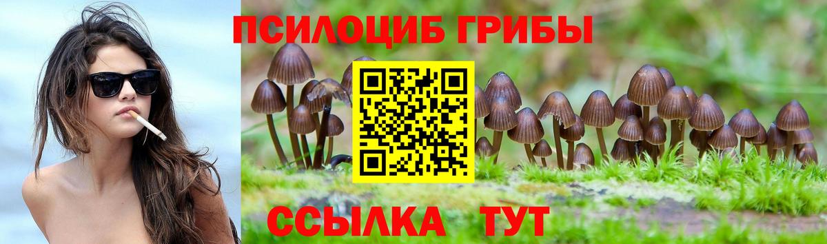 Псилоцибиновые грибы Cubensis  Галлюциногенные грибы прущие грибы  Вход с VPN  Алексин 